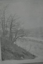 View north along the beach